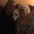 Betty Jo Ann Scholle's profile image