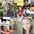 Brandie Lynn Howell's profile image