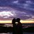 Brenda K Baker's profile image