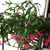Debra Hyde's profile image