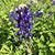 Vicki Cannon Fleeger's profile image