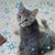 Patricia Clark's profile image
