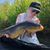 Saydie Jade Reedy's profile image