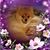 Juli Rose's profile image