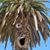 Laura Lampert's profile image