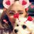 Sheila Holland Gruber's profile image