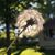 Kristin Nielsen Daniels's profile image