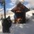 Shelby Elizabeth Irwin's profile image
