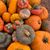 Sherry Thurman's profile image