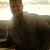 Jayson Tippetts's profile image