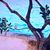 Kristin AnneUnruh's profile image