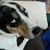 Kitty Wilcox's profile image