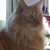 Emily Debnam Ferrell's profile image