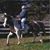 Paula Thompson's profile image