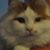 Paula Stewart's profile image