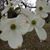Terri Gallagher- Bryant's profile image