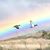 Lee Ann Knodel's profile image