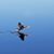 Hila DeBono Stephens's profile image