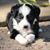 Tina Kimbler Green's profile image