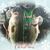 Tracy Ousley's profile image