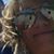 Jardi Hirsch Nordby's profile image