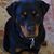 Maryellen Oleary's profile image