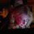Brenda Siegelman's profile image
