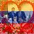 Sonia Attie's profile image