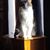 Mary Cukovich's profile image
