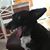 Carolyn Parsons's profile image