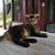 Tina Baumann's profile image