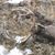Brenda Jensen Picht's profile image
