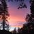 Lisa Kingsolver's profile image