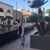 Karine Abrahamyan's profile image