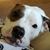 Mary Ellen Cohill's profile image