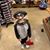 Josh W. Fury's profile image