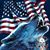 William McCamie's profile image