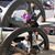 Sherri White's profile image