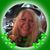 Peg Lynn's profile image