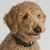 Chris Hanson's profile image