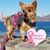 Cheryl Pattison's profile image