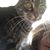 Mary Margolis's profile image