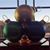 Heidi Wright-Tierney's profile image