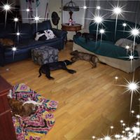 Patricia Jones Smith's profile image