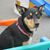 April M Nagel's profile image