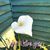 Debra Jeanne McDill's profile image