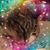Brenda Jackson's profile image