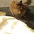 Judy Lynn Kelley's profile image