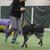 Carol Michalski's profile image