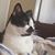Gabriela Retes LK's profile image